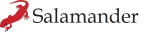 Logo Transparent